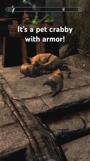 I love the crab and the random questions