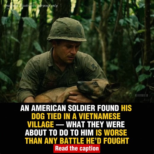 It was October, 1972, in the Central Highlands of Vietnam. The monsoon had been relentless, flattening bamboo and morale in equal measure. Clayton, then Staff Sergeant Ridge, had just transferred from a mechanized unit after catching shrapnel to the thigh near Huế. They gave him a desk job at Camp Holloway, but he begged to stay active. So they sent him into the jungle — with a dog. His name was Smokey. A Belgian Malinois, they said, though he looked part coyote. Lanky, yellow-eyed, and scarred 