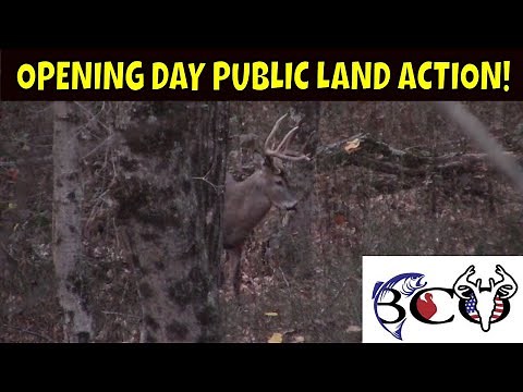 Indiana GIANT DOWN! | whitetail deer hunting 2020