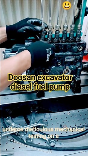 Heavy Loader Doosan Diesel Pump Rebuild 😇