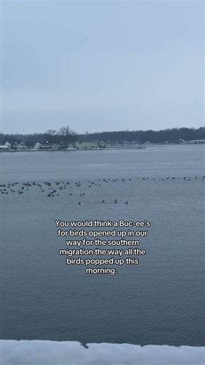 Hope you all have a safe trip!