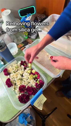 Preserving Flowers with Silica Gel: A Quick Guide