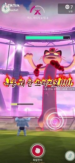 거다이맥스 나옹보다 더 큰 분노 #포켓몬고 #포고 #pokemongo #대전 #거다이맥스나옹