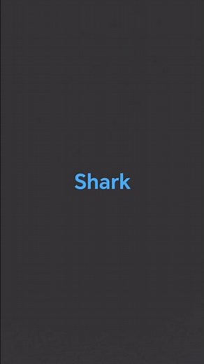 top 10 most cutest sea creatures