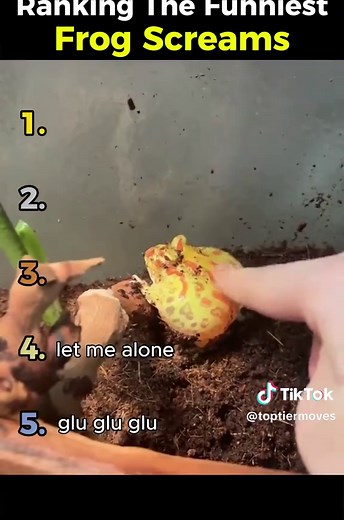 Ranking the Funniest Frog Screams