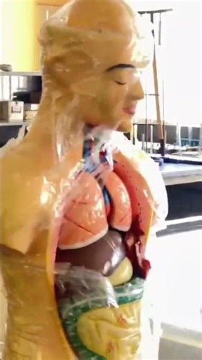 Explore Our Science Lab | Hands-On Learning at Venus World School