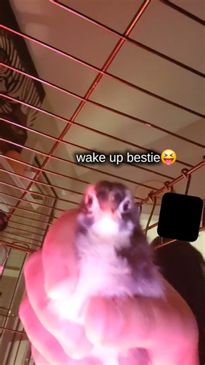 Calm relaxing sounds for people with depression 🍁🍢