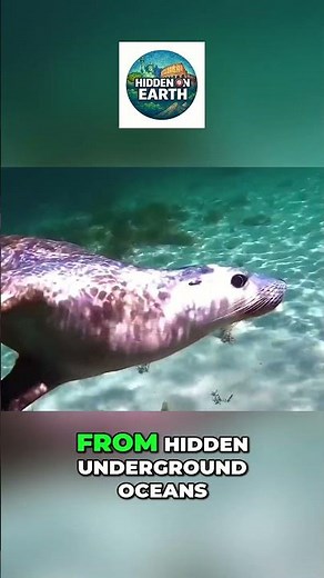 50 Facts About Australia That Change Everything #geography #facts #mindblown