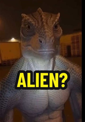Reptilian lizard alien extraterrestrial creature did he come out of the UFO? Who is he? What is this? This is for entertainment purposes only #Reptilian #Alien #Extraterrestrial #Aliens