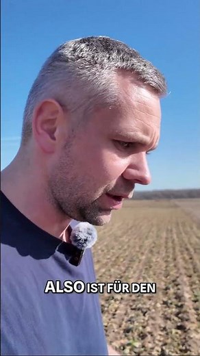 Warum Raps im Frühjahr unbedingt Phosphor braucht