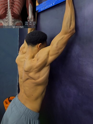 Banded Wall Crawls for Shoulder Stability & Rehab