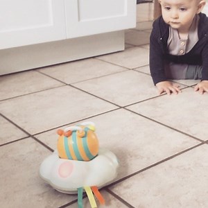 2.9K views · 47 reactions | This busy bee toy is great for babies learning to crawl! All baby’s reach this developmental stage at different times, some early and some late (like my son). It’s an exciting time as they expand their world and begin to explore. #busybee #mamasauruscoach #crawlingbaby #infantdevelopment #milestone #explorebabyexplore https://well.ca/products/skip-hop-explore-and-more-follow-bee_136127.html | Mamasaurus | Facebook