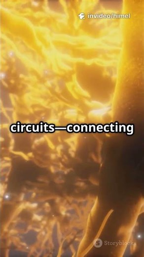 Unlocking the Brain's Secret Pathways!