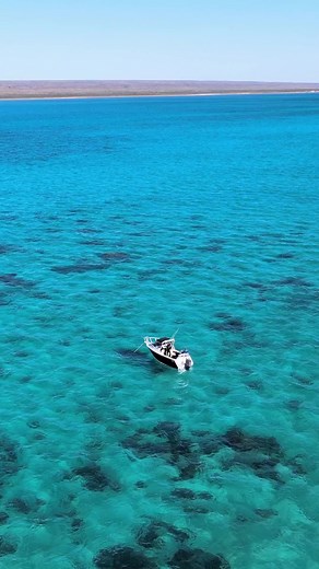 Adam Stern on TikTok