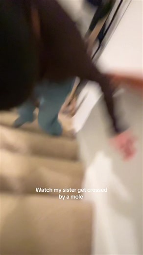 First person in the world to get crossed by a mole | mole