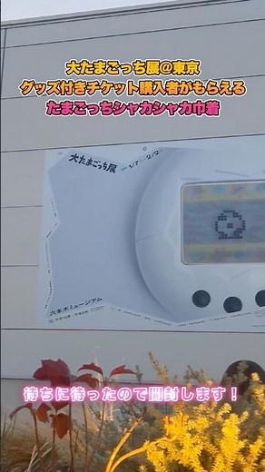 【大たまごっち展】どのチケットを買う？たまごっちシャカシャカ巾着｜東京開催時に入荷待ちになっていた「グッズ付きチケット」特典が届いた【ONJ｜夫に内緒時間】#たまごっち #ひとり時間 #大たまごっち展