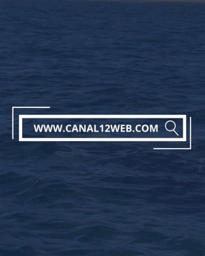 Canal 12 Web on Reels