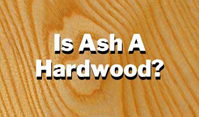 Is Ash a Hardwood Or Softwood? (2026 Ultimate Guide!)