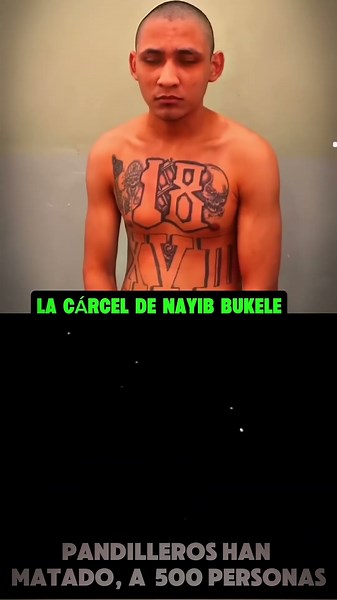 Sentenced to 600 Years in Prison: Gang Members in Bukele’s Prison