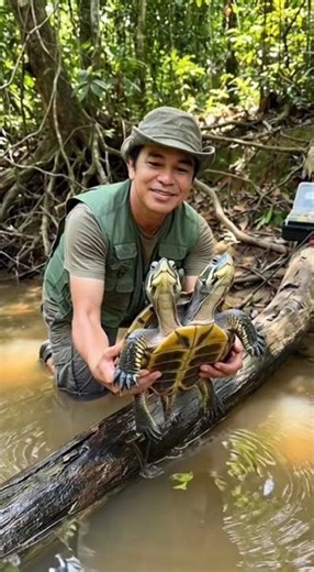 RARE Two-Headed Turtle Found in the Amazon 😳🐢