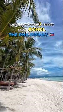 Here is the PERFECT 3 Day Itinerary for Bohol in the Philippines 🇵🇭 #bohol #philippines #travel