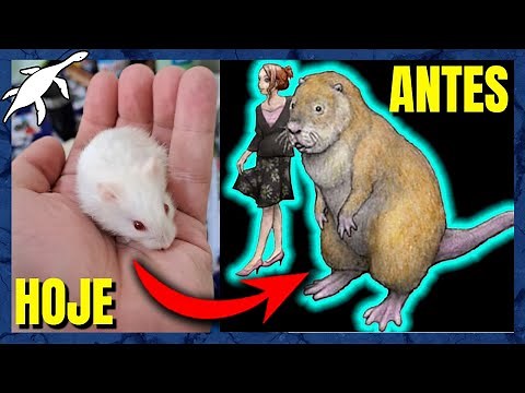 ORIGEM e EVOLUÇÃO dos ROEDORES (Rodentia)