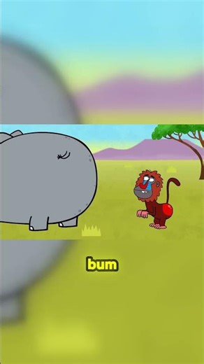 Why is the Baboon's bum red