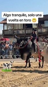 Un vuelta en toro 🐮😁 #postviralシ #reelsvideo #rancho #VacasFelices | Quesos Mair