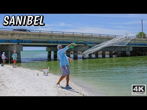 Sanibel Blind Pass Beach - Nature & Serenity