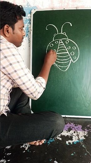 How to draw lady bug