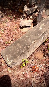 This is the grave of Major John Mitchell, a War of 1812 veteran. I’ll be leading preservation work here soon, but for now I’m starting with a first step—spraying the headstone with D/2 to begin the cleaning process. Not sponsored—just the best stuff for the job. #preservinghistory #warof1812 #historiccemetery #headstonerepair #cemeterypreservation #d2cleaner #historicpreservation #graveyard #forgottenhistory #documentinghistory | Adventures Into History