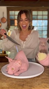 Sphynx Cat's EXTREME Reaction to Cat Cake! 😱🐱💔