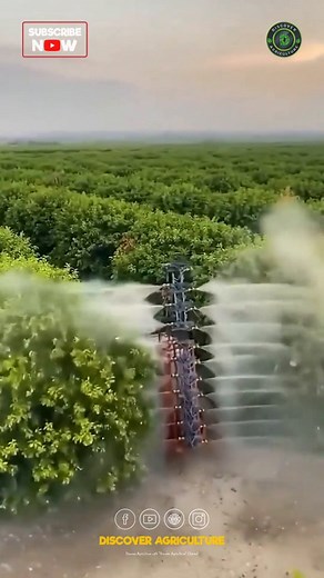 Introducing the Giant Power sprayer agriculture machine - a game changer for farming efficiency and productivity. With its massive capacity and advanced technology, this powerful tool ensures precise and effective spraying of crops, saving time and resources. Embrace innovation in agriculture with this cutting-edge machine designed to meet the demands of modern farming practices. Elevate your agricultural operations to new heights with the Giant Power sprayer! 🌱🚜 #AgricultureInnovation #spray