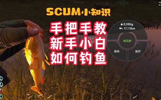 SCUM手把手教新手小白如何钓鱼