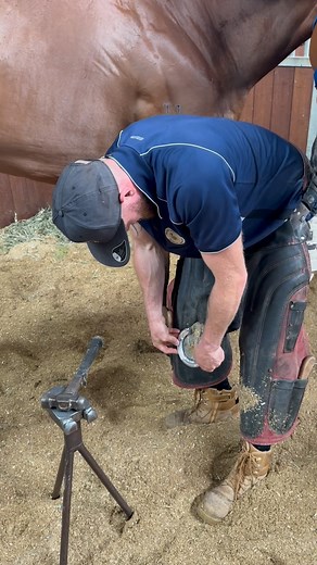 1.7K views · 1.3K reactions | Ever wondered what ASMR sounds like in a farrier’s world? Clink… tap… rasp… tap… hoof picks singing their metal song… and repeat, all day, every day. Some people listen to waves to relax, we listen to the sweet symphony of nails hitting shoes and rasps smoothing hooves Who needs meditation apps when you’ve got a farrier’s toolkit? 藍 | Mark Innes DIP WCF Farrier Services | Facebook