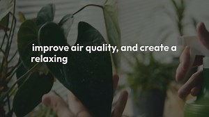 How to Create an Indoor Jungle in Your Home