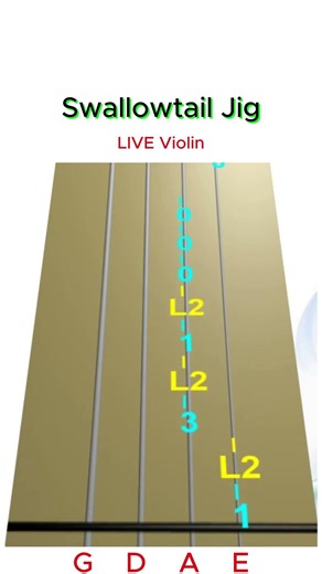 SWALLOWTAIL JIG 🍀 | Irish Fiddle Tune Violin Play-Along