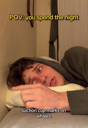 This just isn’t working out…it’s not me, it’s you (To clarify: I mean still alive TODAY. They existed a long time ago and are now extinct) #megaladon #ocean #LearnOnTikTok #Science #stem