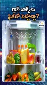Can Glass And Steel Containers Be Kept In The Fridge? | Experts’ Detailed Explanation