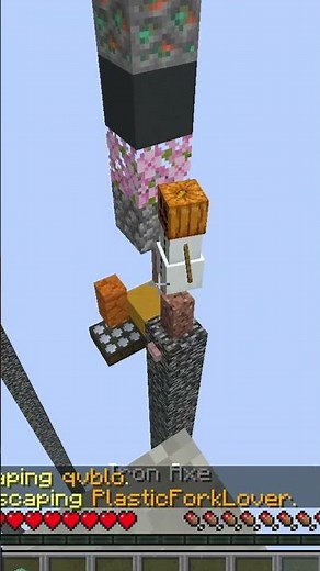 Double Trouble #minecraft #memes