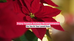 3.6K views · 83 reactions | Thinking of a Christmas gift for family,...