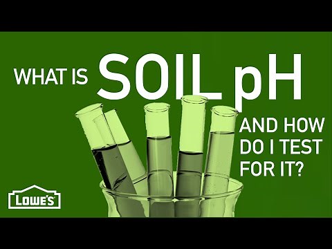 What Is Soil pH & How Do I Test For It? | Gardening Basics w/ William Moss