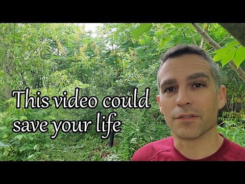 Wet Bulb Temperature (critical). Understanding and monitoring for this can save you and your family.