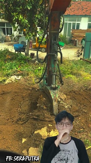 Here's How to Safely Uproot a Large Tree #shorts #heavyequipment #treerooter #modern