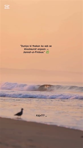 “Duniya ki thakan ka sab se khoobsurat anjaam — Jannat-ul-Firdous 🤍”