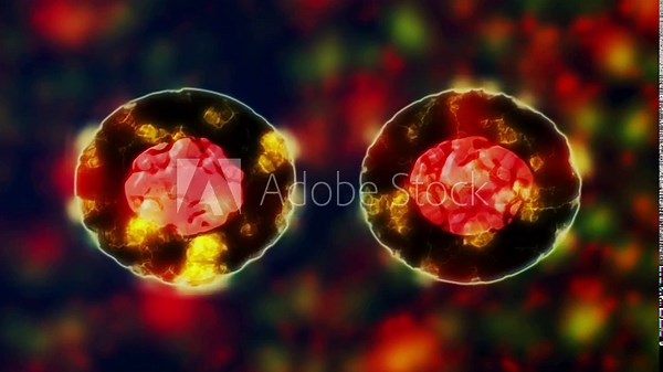 Cell division and nuclear division, Cell division is the means of reproduction