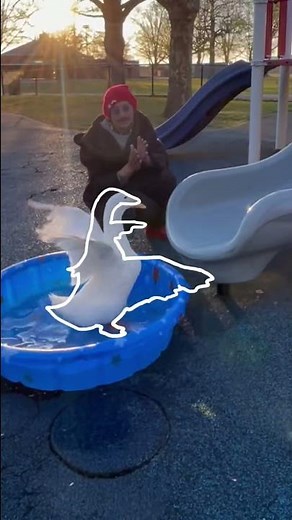 Impossible Pause Game #5 (wrinkle the duck)