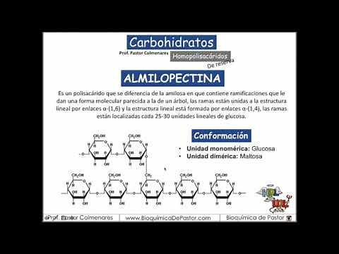 Starch and glycogen | Carbohydrates part XI