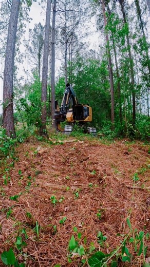 Logging machine in action_ Tigercatlx830d#logging #fypage #tigercatforestry #fblifestyle #ballantinesawteeth | Steven Christian
