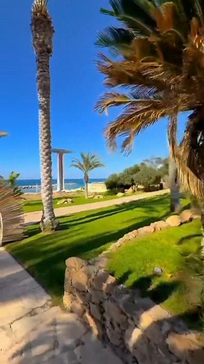🌴 Apartamenty przy samym morzu w Pafos! 🌊 Tak, tak – przy samym morzu, nie w drugiej, nie w trzeciej, tylko w pierwszej linii brzegowej 😎☀️ Poranna kawa z widokiem na turkusową wodę ☕💙, wieczorem zachód słońca prosto z balkonu 🌅 – brzmi dobrze? To teraz tylko 80 € za mieszkanie (max 4 osoby!) w zimowej promocji! 🏖️🔥 W Strone Slonca Cypr Albania Nie ściemniamy 😄 – to nie last minute, to smart winter deal 2025/2026! Zostało nam jeszcze kilka terminów 🗓️ w okresie zimowym ❄️, ale UWAGA 👉 